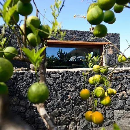 Eco La Vegueta Tatil Evi El Cuchillo