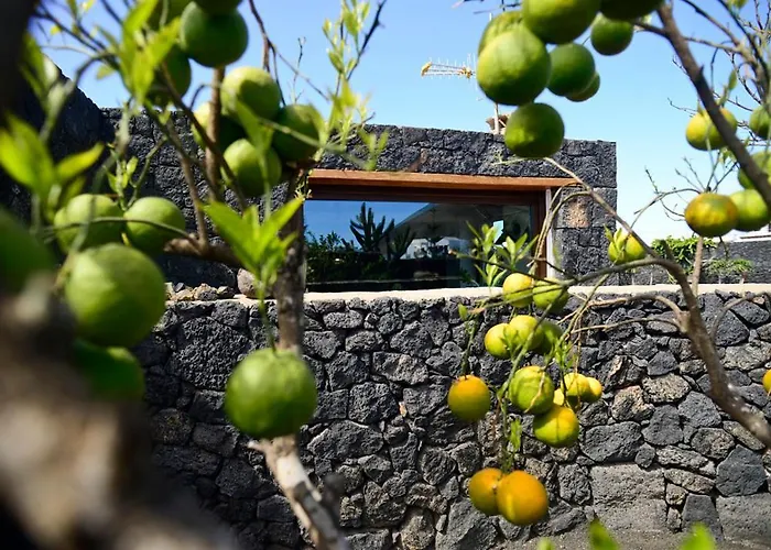 Eco La Vegueta 別荘 El Cuchillo